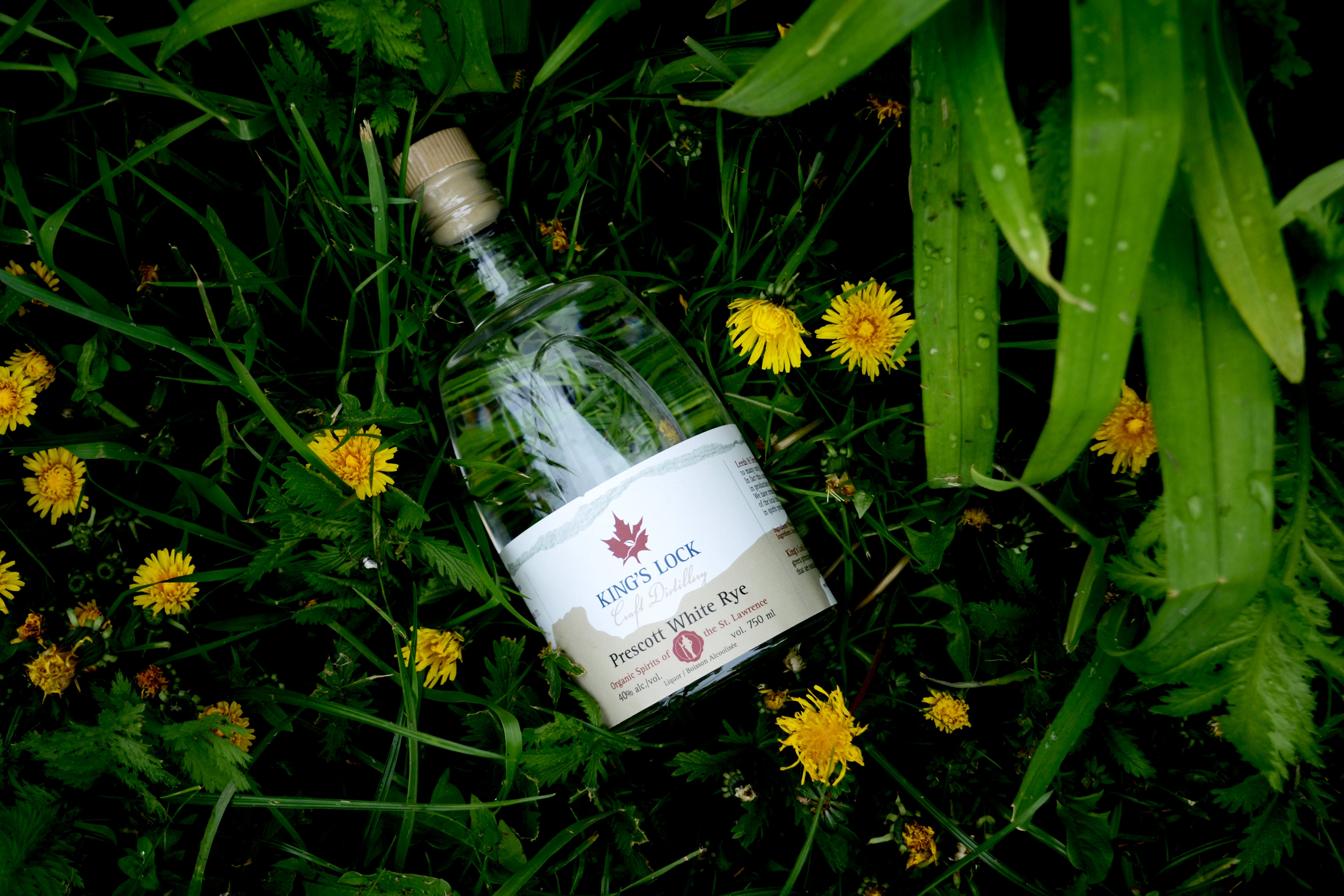 Prescott White Rye