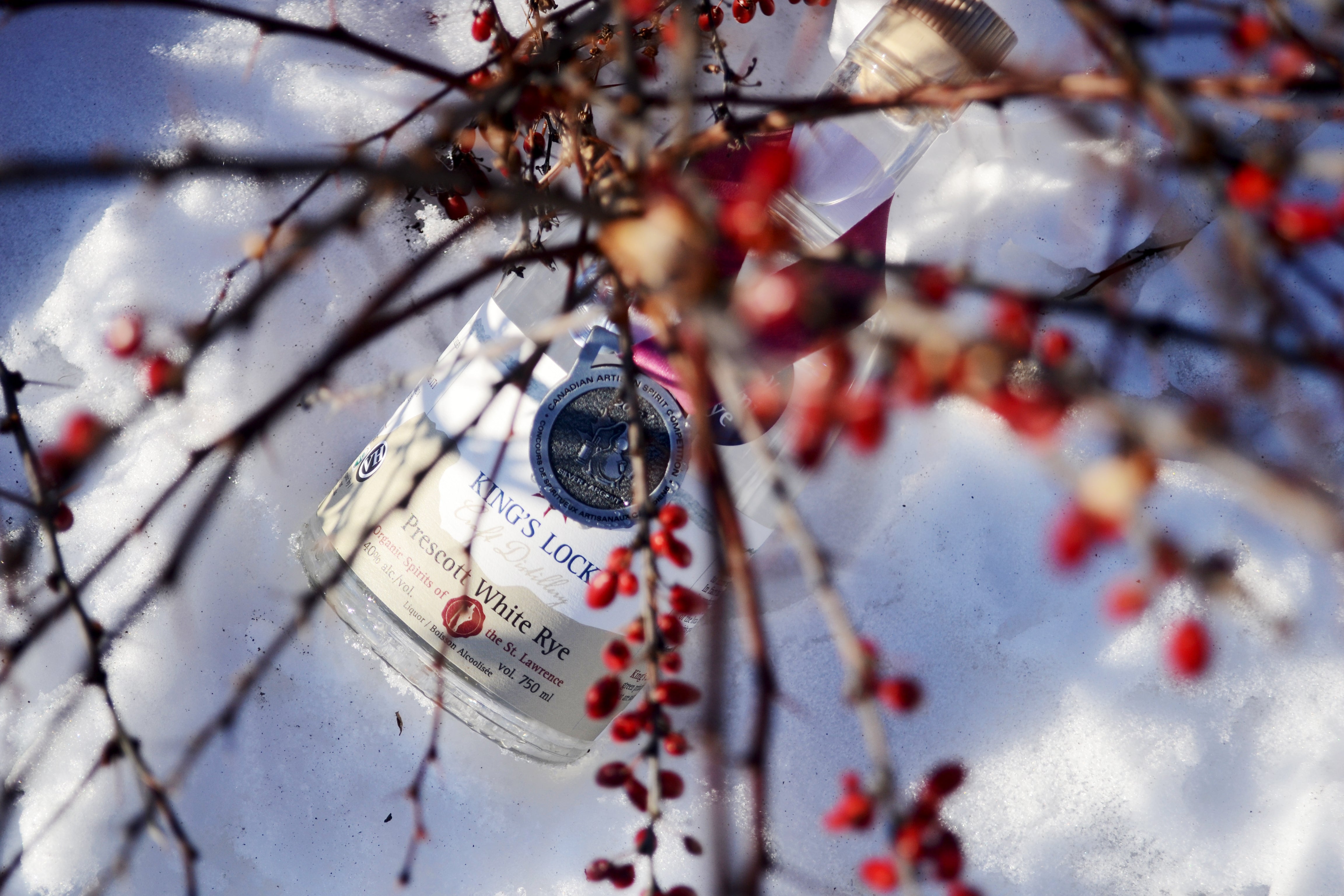 Prescott White Rye